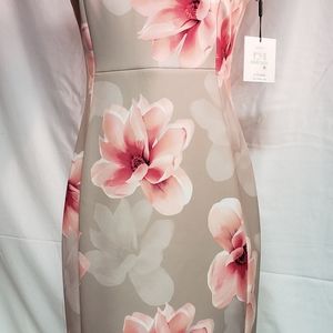 Beautiful NWT Calivin Klein Dress! Size 8